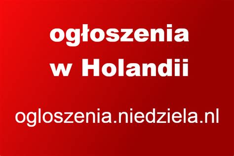 niedziela nl poznajmy sie|Poznajmy się w NL